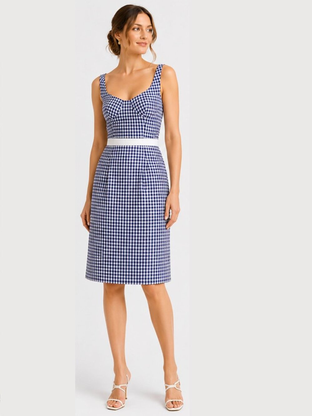 Altuzarra for J.Crew Sabrina Dress Blue Gingham Size 0